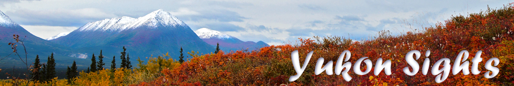 Yukon Sights by Sue Thomas