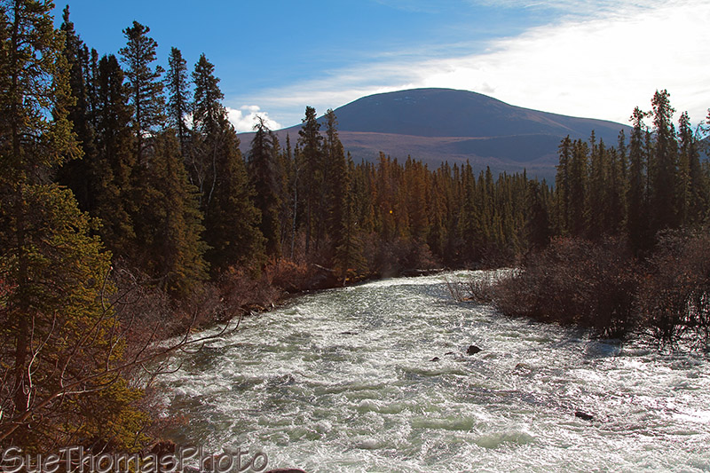 Looking downriver from Otter Falls