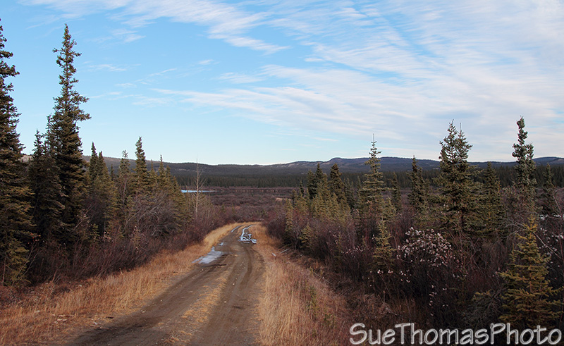 Aishihik Road, Yukon