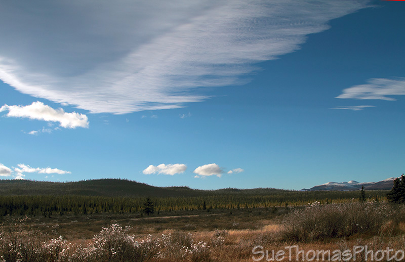 Aishihik Road, Yukon