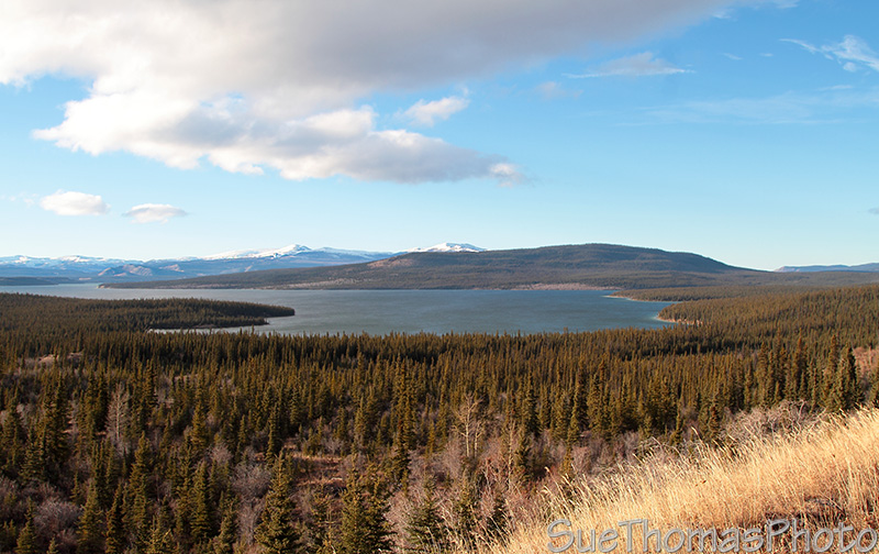 Aishihik Road, Yukon