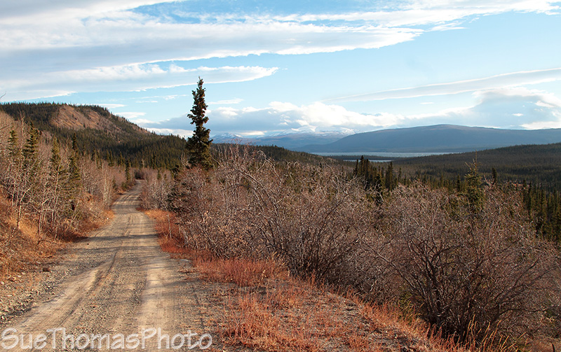 Aishihik Road, Yukon