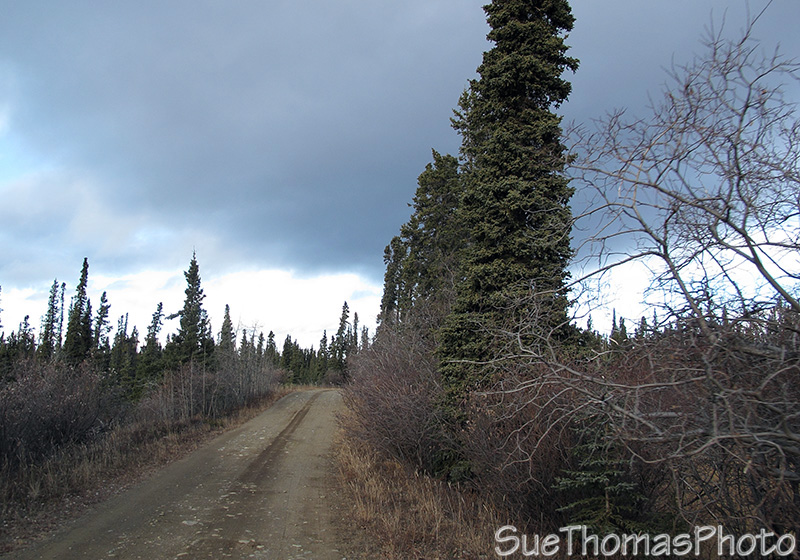 Aishihik Road, Yukon