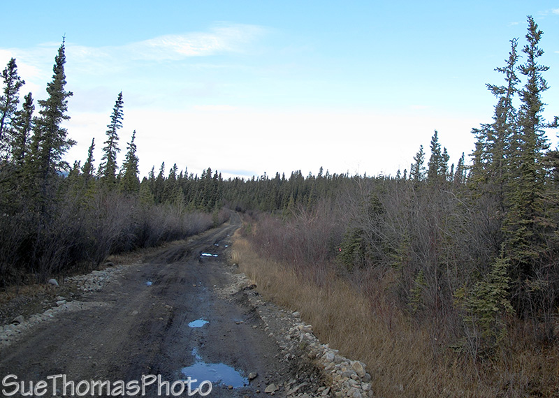 Aishihik Road, Yukon