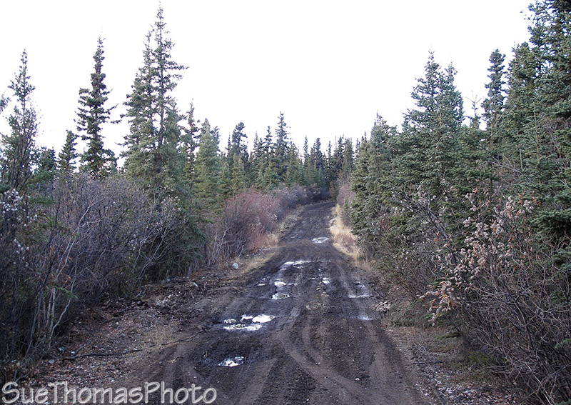 Aishihik Road, Yukon