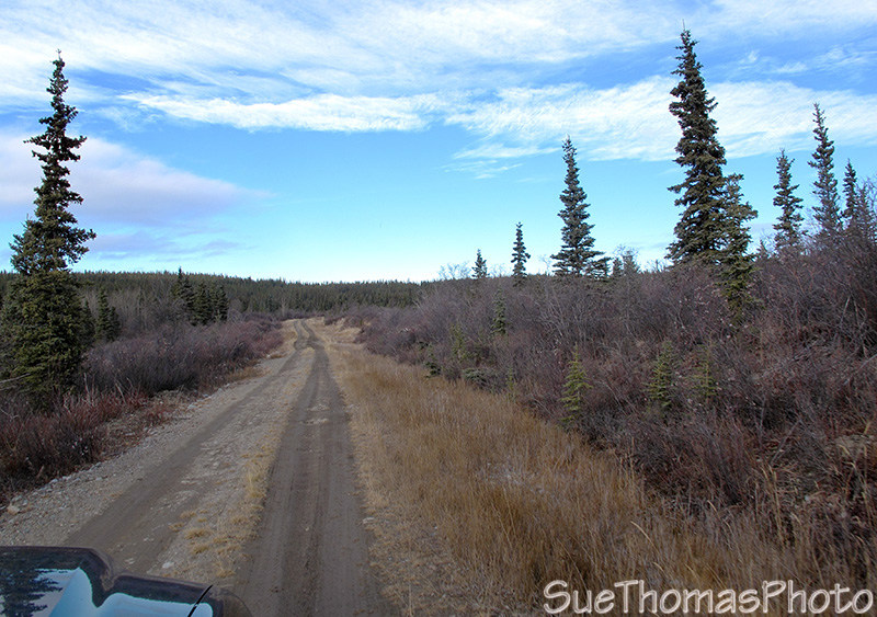 Aishihik Road, Yukon