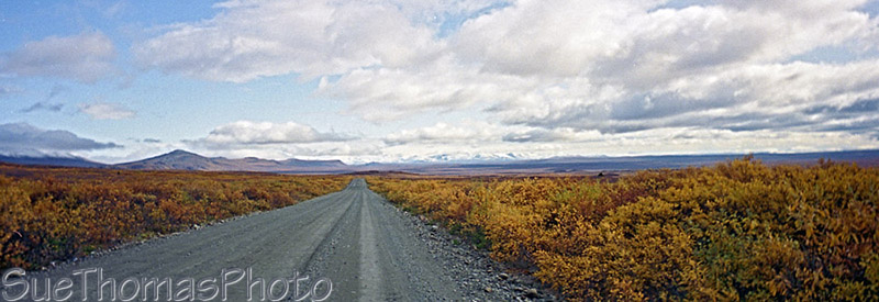 Denali Highway -- Cantwell to Paxson