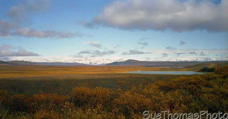 Denali Highway -- Cantwell to Paxson, Alaska