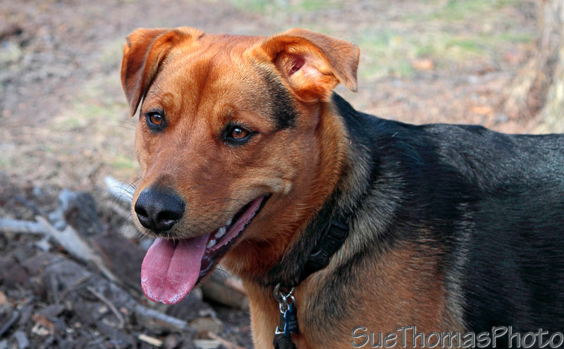 On Nabesna Road in Alaska
