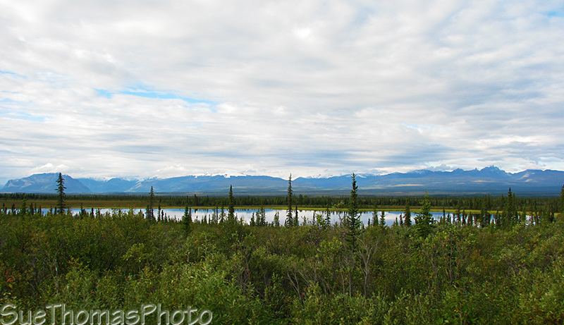 On Nabesna Road in Alaska