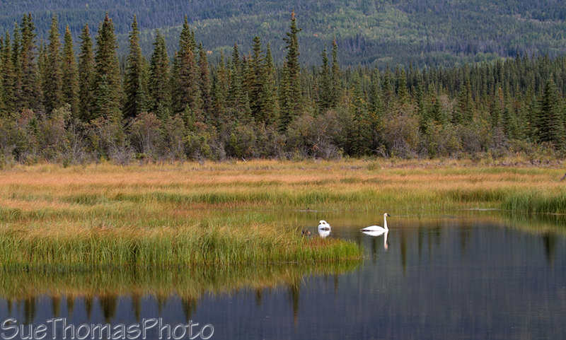 McCarthy Road in Alaska