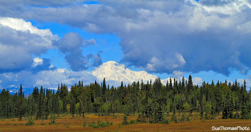 Denali / Mt McKinley, Alaska