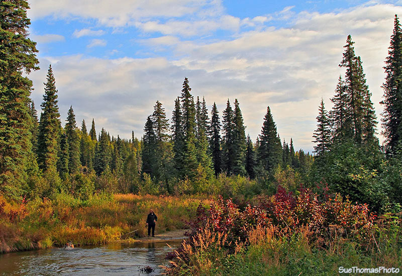 Byers Lake, Denali, Alaska