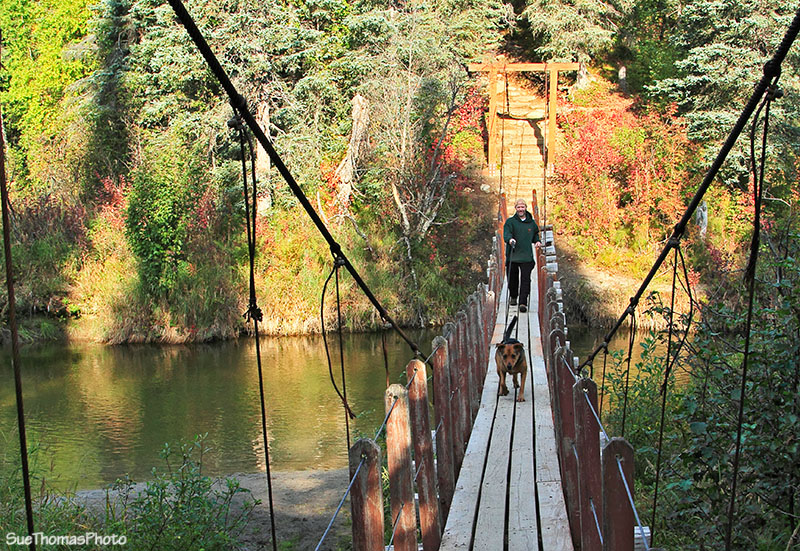 Crossing suspension bridge at Byers Lake, Denali, Alaska