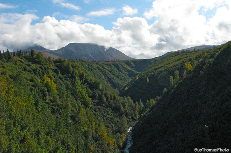 Parks Highway, Denali, Alaska