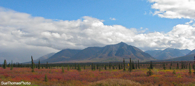 Parks Highway, Denali, Alaska