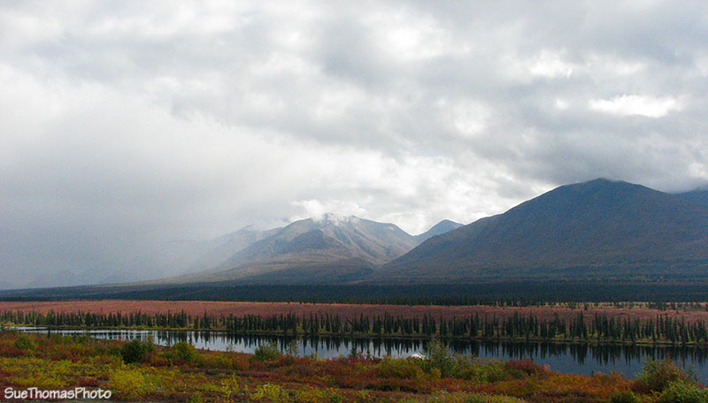 Parks Highway, Denali, Alaska