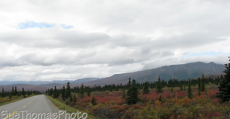 Parks Highway, Denali, Alaska