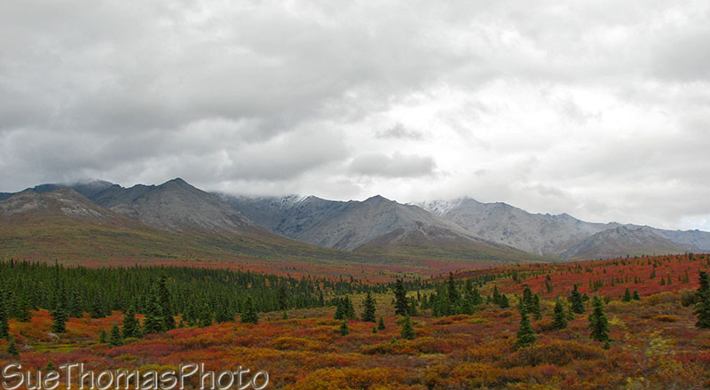 Parks Highway, Denali, Alaska