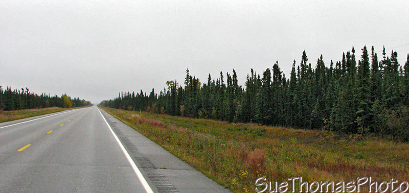 Alaska Highway between Delta Junction and Tok, Alaska
