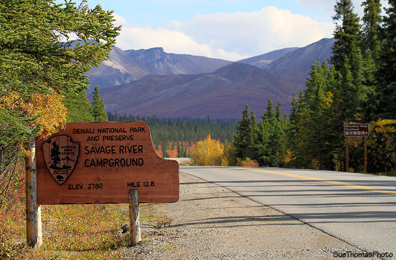Denali National Park, Alaska