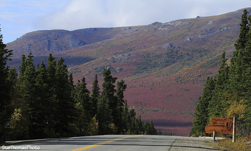 Denali National Park, Alaska