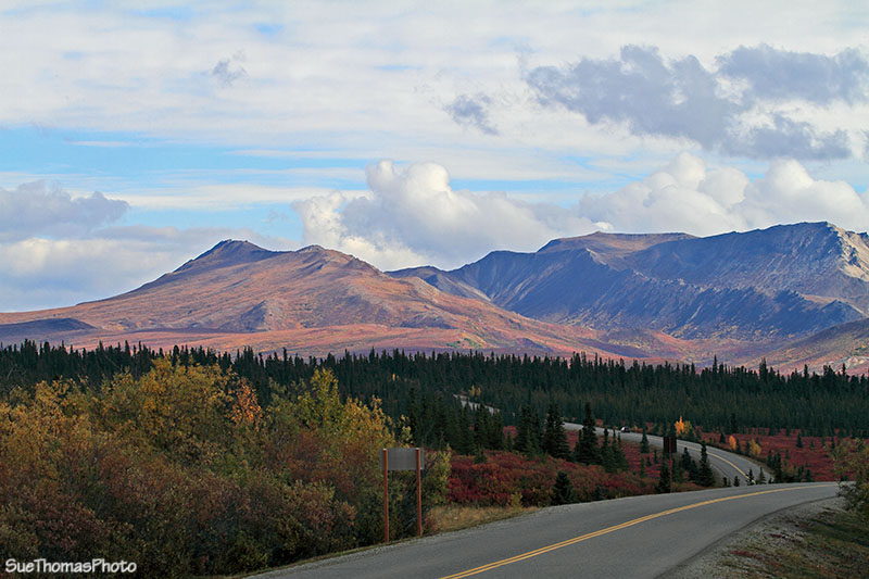 Denali National Park, Alaska