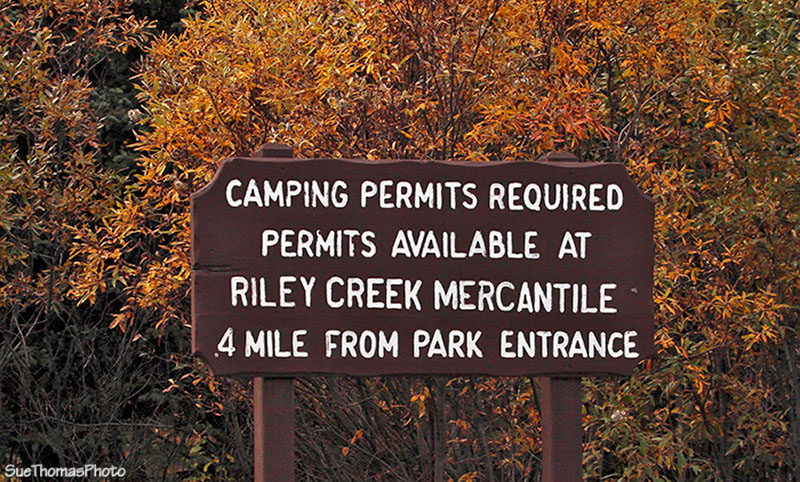 Denali National Park, Alaska