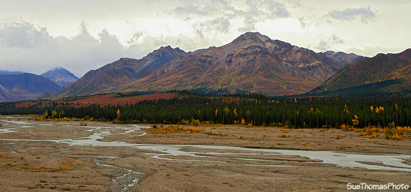 Teklanika rest area, Denali National Park, Alaska