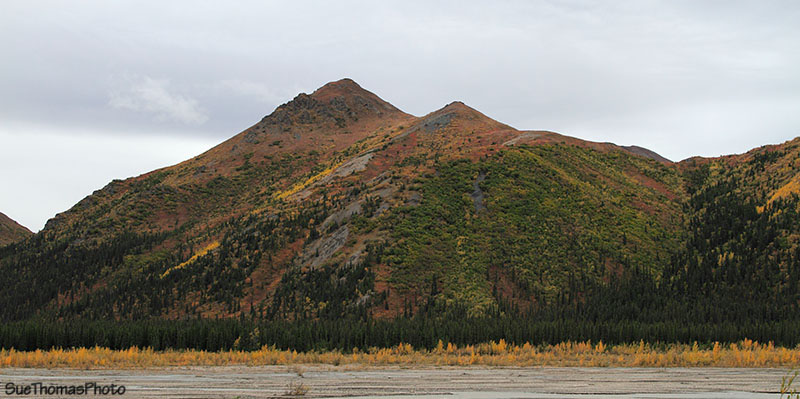 Teklanika Campground in Denali National Park, Alaska