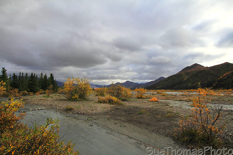 Teklanika River in Denali National Park, Alaska