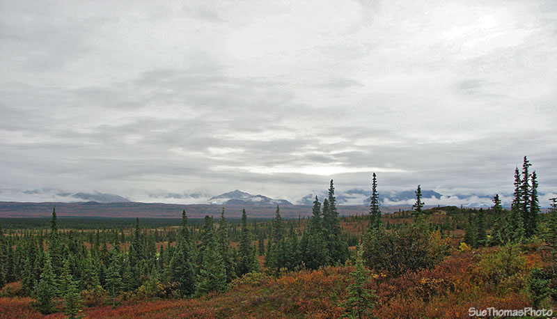 Mt McKinley not visible in cloud, Alaska