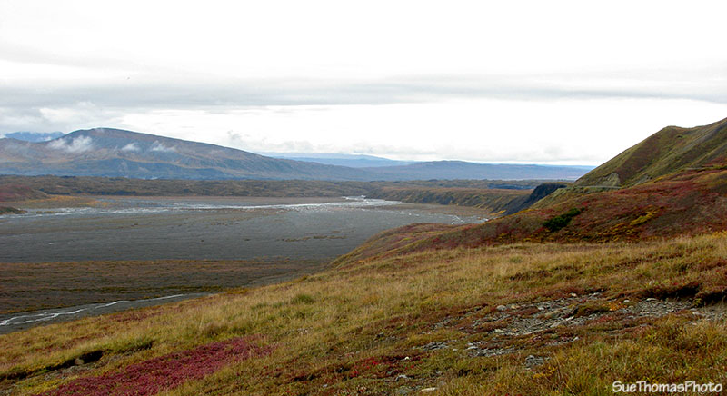 Mt McKinley in the cloud, Denali, Alaska