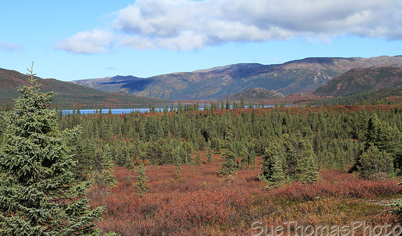 Denali / Mt McKinley, Alaska