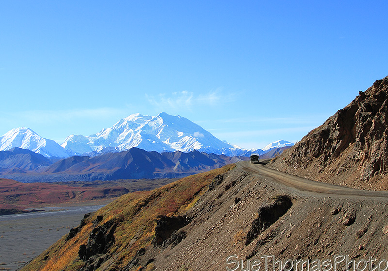 Green school bus tour of Denali Park