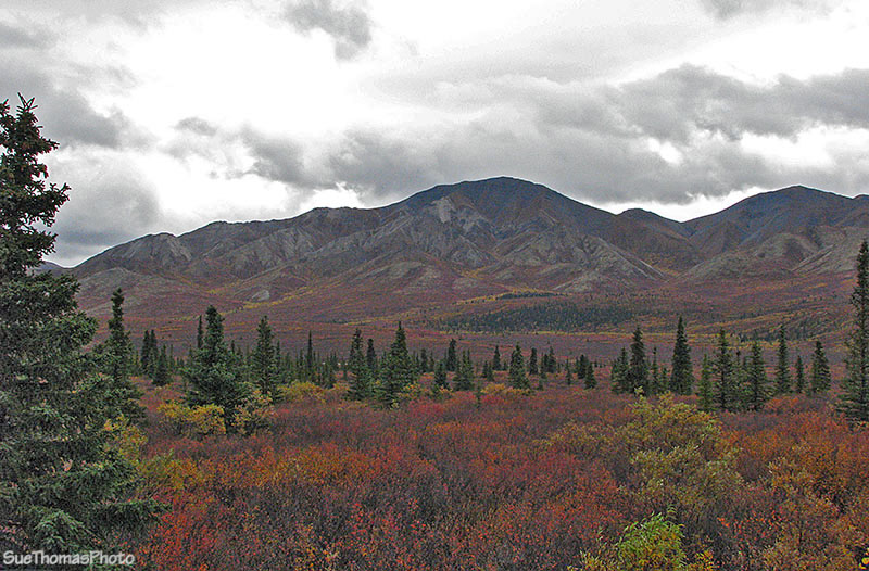Denali National Park, Alaska