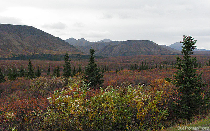 Denali National Park, Alaska