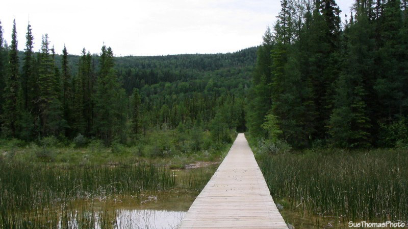 Liard Hot Springs, British Columbia