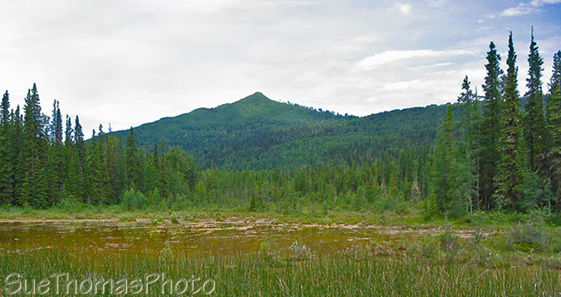 Liard Hot Springs, British Columbia
