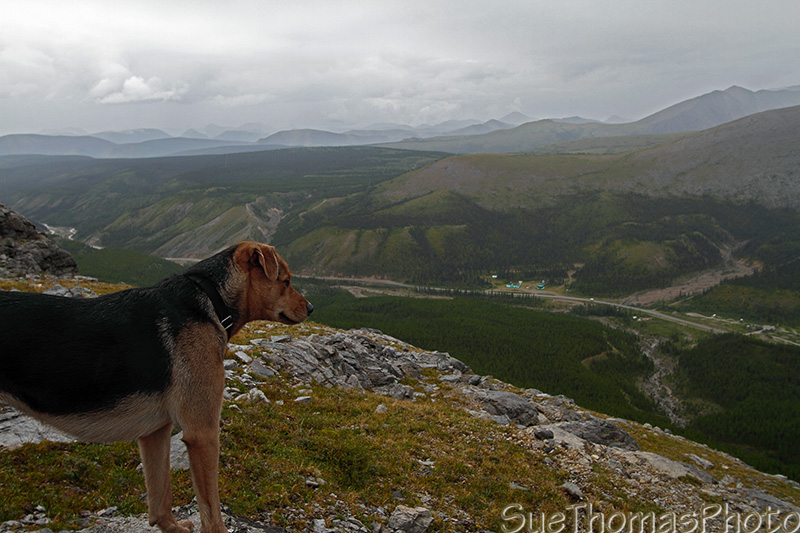 Stone Mountain Provincial Park, Alaska Highway, BC