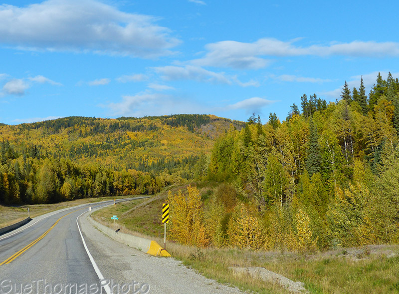 Fall colours through Britisih Columbia