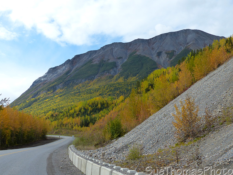 Alaska Highway fall colours