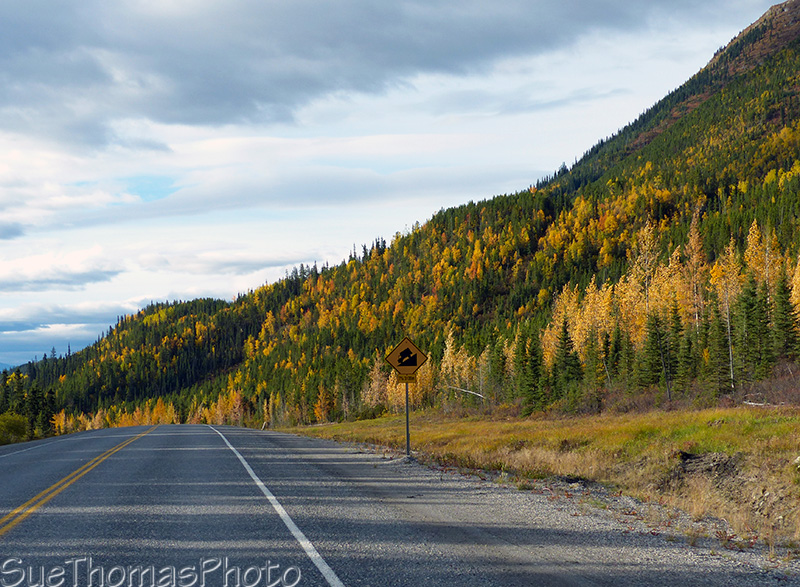 Leaving Muncho Lake