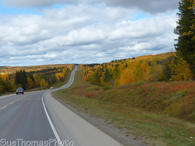 Alaska Highway fall colours