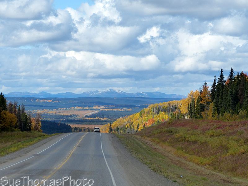 Fall colours on the Alaska Highway