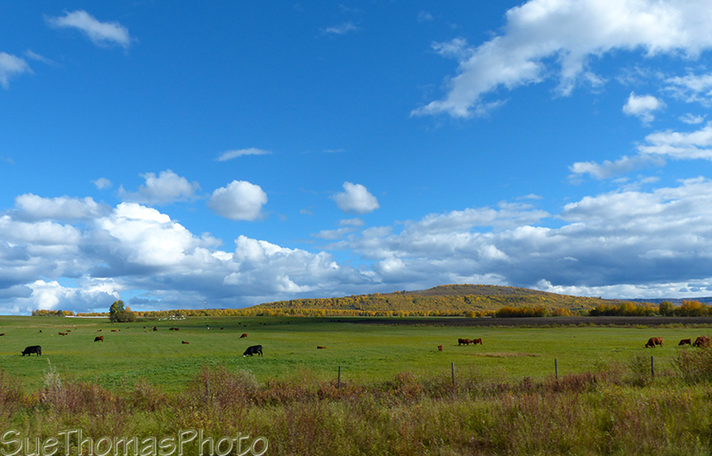 Ranchland in northern B.C.