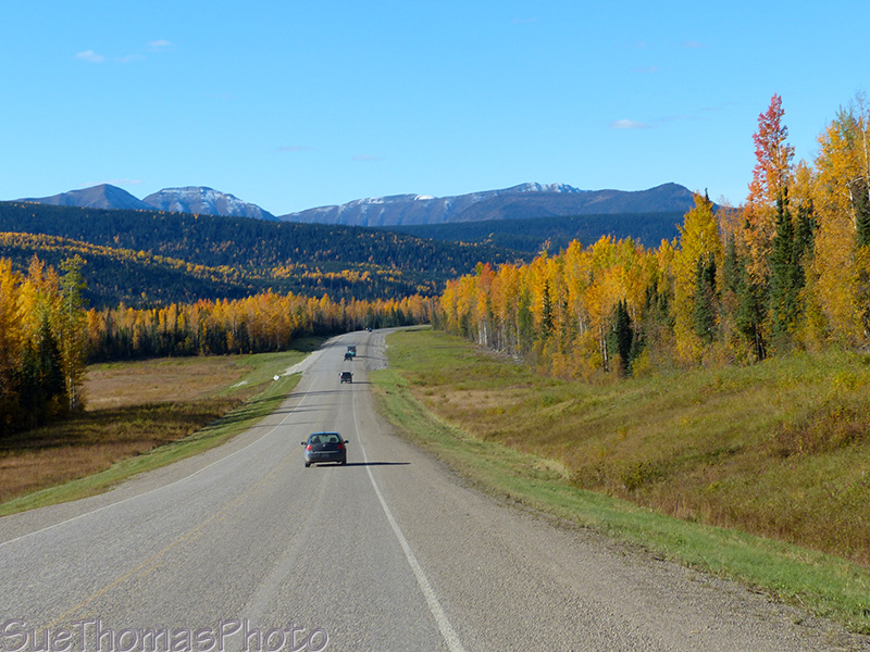 Alaska Highway heading north