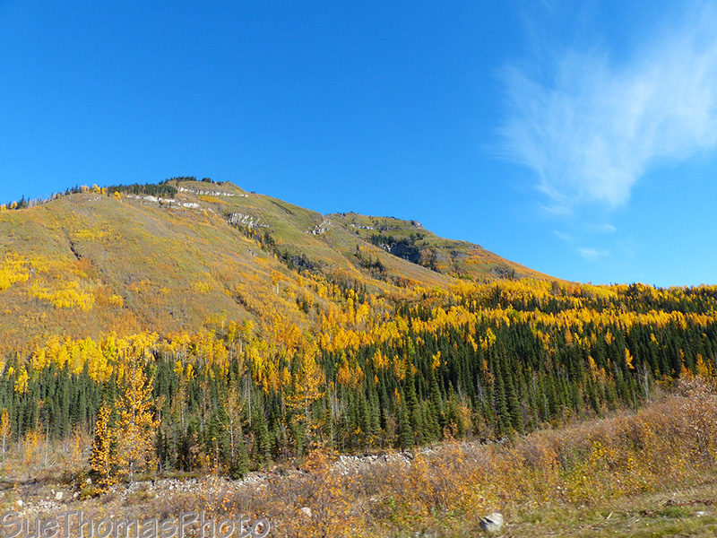 Fall colours on the mountains