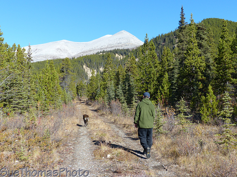 Hiking on the Erosion Pillar trail