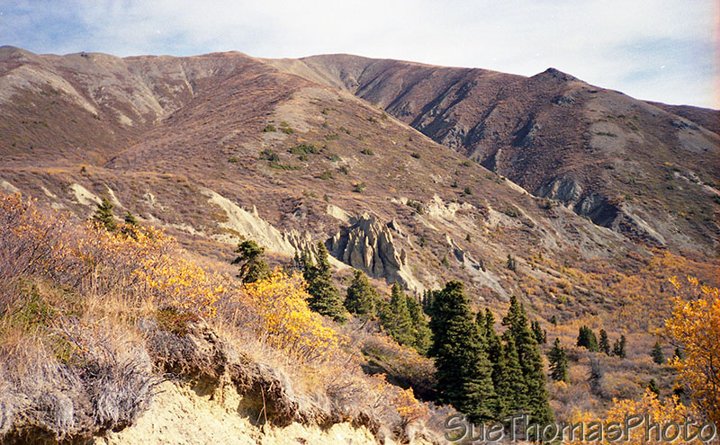 Hoodoos on Sheep Mountain, Yukon